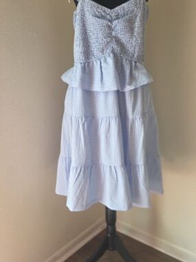 White Birch Light Blue Gingham Dress 2x